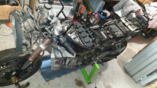 20210204_123238.jpg (483.68 KiB) 34289 mal betrachtet die neue 1